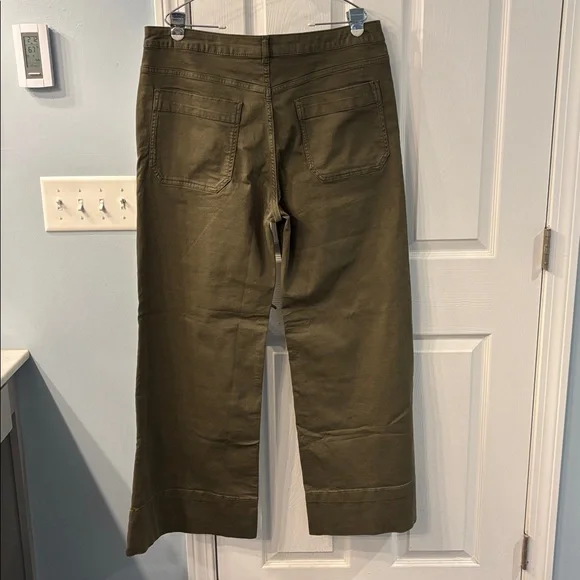 The Rylan Relaxed High Rise Flare Pants by Pilcro in Dried Fern, size 34, NWT - Picture 9 of 13